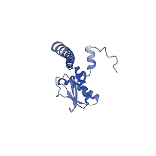 21347_6vqb_J_v1-2
Mammalian V-ATPase from rat brain soluble V1 region rotational state 2 with SidK and ADP (from focused refinement)