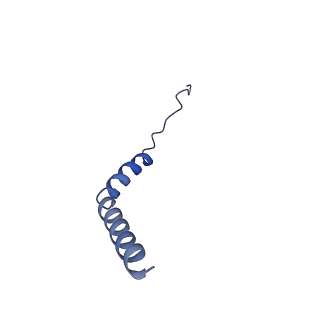 21347_6vqb_M_v1-2
Mammalian V-ATPase from rat brain soluble V1 region rotational state 2 with SidK and ADP (from focused refinement)