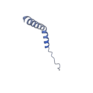 21347_6vqb_N_v1-2
Mammalian V-ATPase from rat brain soluble V1 region rotational state 2 with SidK and ADP (from focused refinement)