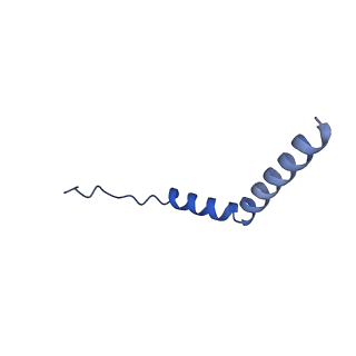 21347_6vqb_O_v1-2
Mammalian V-ATPase from rat brain soluble V1 region rotational state 2 with SidK and ADP (from focused refinement)