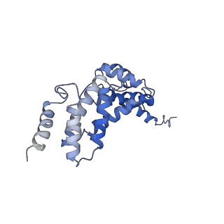 21347_6vqb_Q_v1-2
Mammalian V-ATPase from rat brain soluble V1 region rotational state 2 with SidK and ADP (from focused refinement)