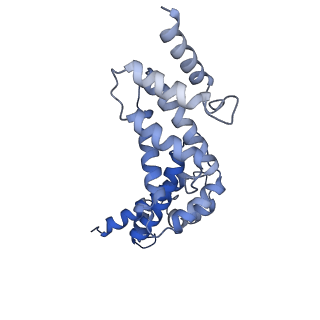 21347_6vqb_R_v1-1
Mammalian V-ATPase from rat brain soluble V1 region rotational state 2 with SidK and ADP (from focused refinement)