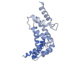 21347_6vqb_R_v1-2
Mammalian V-ATPase from rat brain soluble V1 region rotational state 2 with SidK and ADP (from focused refinement)