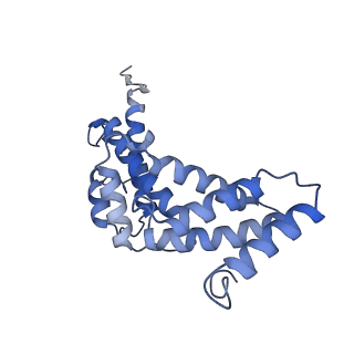 21347_6vqb_S_v1-2
Mammalian V-ATPase from rat brain soluble V1 region rotational state 2 with SidK and ADP (from focused refinement)