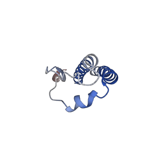 21348_6vqc_H_v1-1
Mammalian V-ATPase from rat brain membrane-embedded Vo region rotational state 1 (from focused refinement)