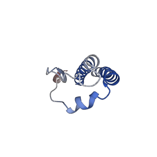 21348_6vqc_H_v1-2
Mammalian V-ATPase from rat brain membrane-embedded Vo region rotational state 1 (from focused refinement)