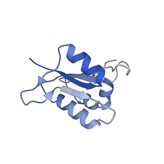 21348_6vqc_L_v1-1
Mammalian V-ATPase from rat brain membrane-embedded Vo region rotational state 1 (from focused refinement)