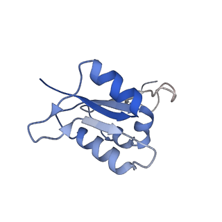 21348_6vqc_L_v1-2
Mammalian V-ATPase from rat brain membrane-embedded Vo region rotational state 1 (from focused refinement)