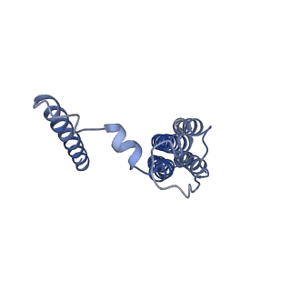 21348_6vqc_b_v1-1
Mammalian V-ATPase from rat brain membrane-embedded Vo region rotational state 1 (from focused refinement)