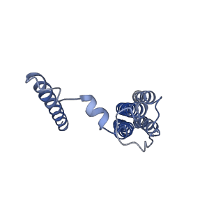 21348_6vqc_b_v1-2
Mammalian V-ATPase from rat brain membrane-embedded Vo region rotational state 1 (from focused refinement)