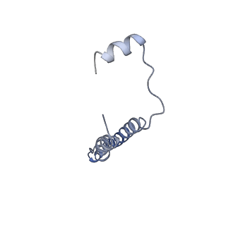 21348_6vqc_e_v1-1
Mammalian V-ATPase from rat brain membrane-embedded Vo region rotational state 1 (from focused refinement)