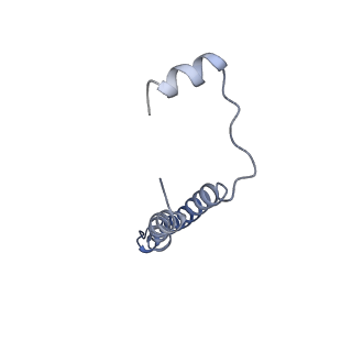 21348_6vqc_e_v1-2
Mammalian V-ATPase from rat brain membrane-embedded Vo region rotational state 1 (from focused refinement)