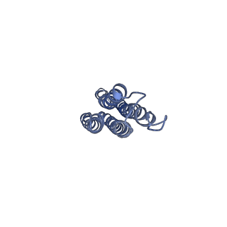 21348_6vqc_l_v1-2
Mammalian V-ATPase from rat brain membrane-embedded Vo region rotational state 1 (from focused refinement)