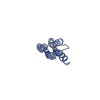 21348_6vqc_m_v1-2
Mammalian V-ATPase from rat brain membrane-embedded Vo region rotational state 1 (from focused refinement)