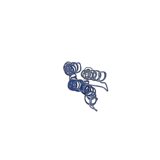 21348_6vqc_n_v1-2
Mammalian V-ATPase from rat brain membrane-embedded Vo region rotational state 1 (from focused refinement)