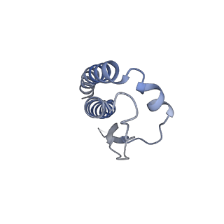 21349_6vqg_H_v1-2
Mammalian V-ATPase from rat brain membrane-embedded Vo region rotational state 2 (from focused refinement)