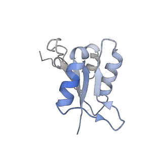 21349_6vqg_L_v1-1
Mammalian V-ATPase from rat brain membrane-embedded Vo region rotational state 2 (from focused refinement)