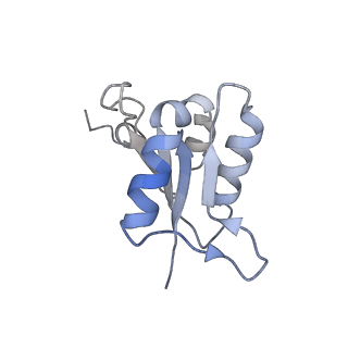 21349_6vqg_L_v1-2
Mammalian V-ATPase from rat brain membrane-embedded Vo region rotational state 2 (from focused refinement)