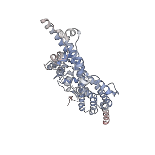 21349_6vqg_a_v1-2
Mammalian V-ATPase from rat brain membrane-embedded Vo region rotational state 2 (from focused refinement)