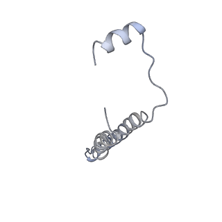 21349_6vqg_e_v1-1
Mammalian V-ATPase from rat brain membrane-embedded Vo region rotational state 2 (from focused refinement)