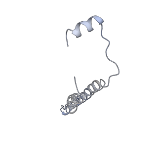 21349_6vqg_e_v1-2
Mammalian V-ATPase from rat brain membrane-embedded Vo region rotational state 2 (from focused refinement)