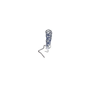 21349_6vqg_p_v1-2
Mammalian V-ATPase from rat brain membrane-embedded Vo region rotational state 2 (from focused refinement)