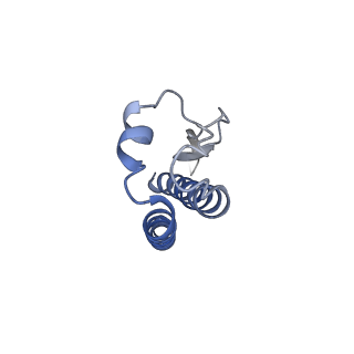 21350_6vqh_H_v1-2
Mammalian V-ATPase from rat brain membrane-embedded Vo region rotational state 3 (from focused refinement)