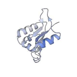 21350_6vqh_L_v1-1
Mammalian V-ATPase from rat brain membrane-embedded Vo region rotational state 3 (from focused refinement)