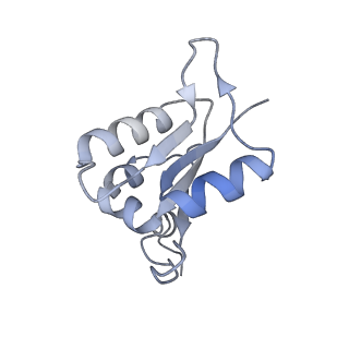 21350_6vqh_L_v1-2
Mammalian V-ATPase from rat brain membrane-embedded Vo region rotational state 3 (from focused refinement)