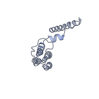 21350_6vqh_b_v1-1
Mammalian V-ATPase from rat brain membrane-embedded Vo region rotational state 3 (from focused refinement)