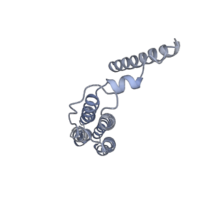 21350_6vqh_b_v1-2
Mammalian V-ATPase from rat brain membrane-embedded Vo region rotational state 3 (from focused refinement)