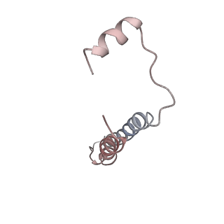 21350_6vqh_e_v1-1
Mammalian V-ATPase from rat brain membrane-embedded Vo region rotational state 3 (from focused refinement)