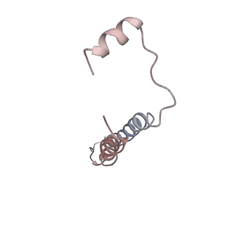 21350_6vqh_e_v1-2
Mammalian V-ATPase from rat brain membrane-embedded Vo region rotational state 3 (from focused refinement)