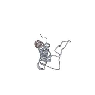 21350_6vqh_f_v1-1
Mammalian V-ATPase from rat brain membrane-embedded Vo region rotational state 3 (from focused refinement)