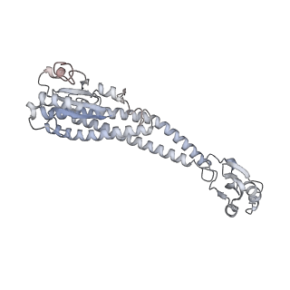 21351_6vqi_G_v1-1
Mammalian V-ATPase from rat brain collar and peripheral stalks rotational state 1 (from focused refinement)