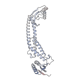 21351_6vqi_a_v1-2
Mammalian V-ATPase from rat brain collar and peripheral stalks rotational state 1 (from focused refinement)