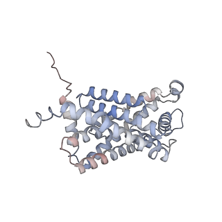 21354_6vqq_D_v1-1
CryoEM Structure of the Plasmodium falciparum transporter PfFNT