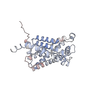 21354_6vqq_D_v1-2
CryoEM Structure of the Plasmodium falciparum transporter PfFNT