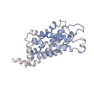 21354_6vqq_E_v1-1
CryoEM Structure of the Plasmodium falciparum transporter PfFNT
