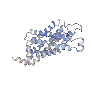 21354_6vqq_E_v1-2
CryoEM Structure of the Plasmodium falciparum transporter PfFNT