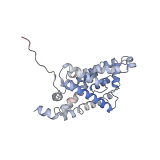 21355_6vqr_C_v1-1
CryoEM Structure of the PfFNT-inhibitor complex
