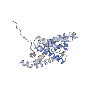 21355_6vqr_C_v1-2
CryoEM Structure of the PfFNT-inhibitor complex