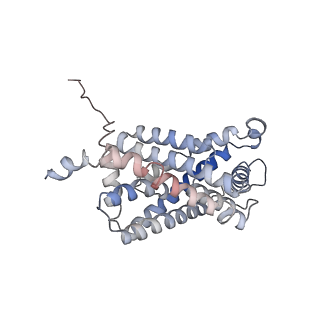 21355_6vqr_D_v1-1
CryoEM Structure of the PfFNT-inhibitor complex