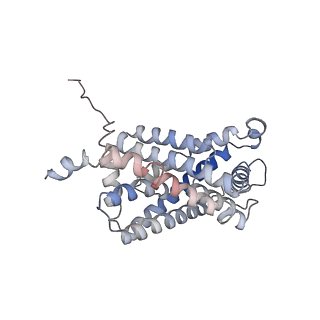 21355_6vqr_D_v1-2
CryoEM Structure of the PfFNT-inhibitor complex