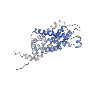 21355_6vqr_E_v1-1
CryoEM Structure of the PfFNT-inhibitor complex