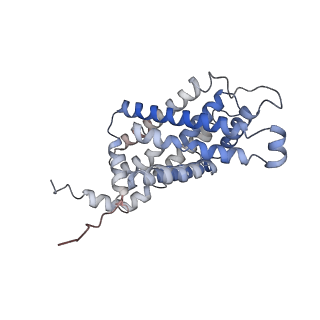 21355_6vqr_E_v1-2
CryoEM Structure of the PfFNT-inhibitor complex