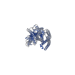 21356_6vqt_A_v1-2
Structure of a bacterial Atm1-family ABC exporter with MgADPVO4 bound