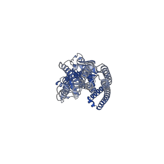 21356_6vqt_A_v1-3
Structure of a bacterial Atm1-family ABC exporter with MgADPVO4 bound