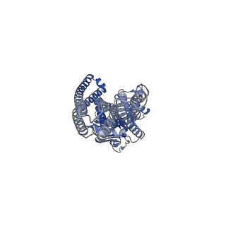 21356_6vqt_B_v1-2
Structure of a bacterial Atm1-family ABC exporter with MgADPVO4 bound
