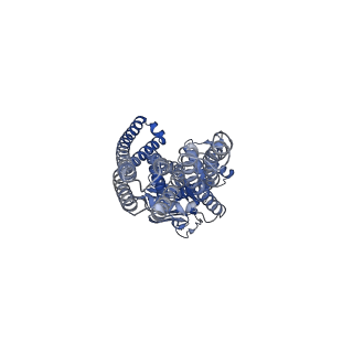 21356_6vqt_B_v1-3
Structure of a bacterial Atm1-family ABC exporter with MgADPVO4 bound